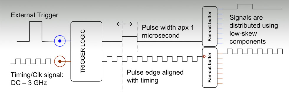 Digital Signal Distribution DDU32 Block Diagram